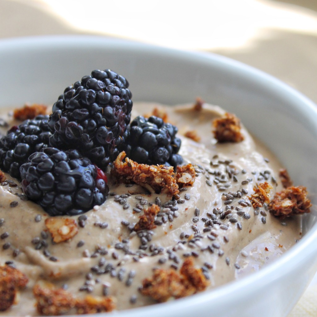 Chocolate Peanut Butter Protein Mousse